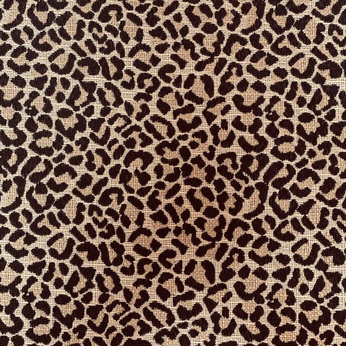 UV Cleomenes Java - Valdieri In & Out