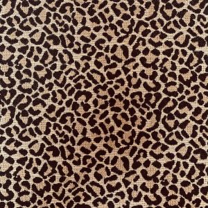 UV Cleomenes Java - Valdieri In & Out