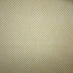 UV Kegeler Yarrow - Valdieri In & Out